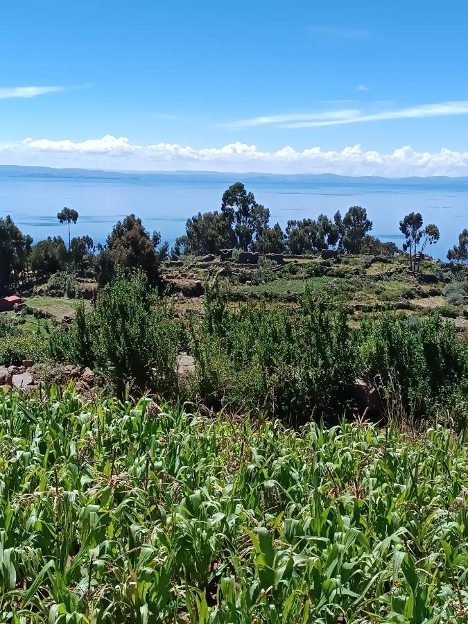 Готель Taquile Familia Celso Huillanopampa Екстер'єр фото